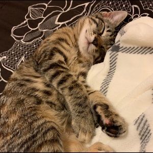 Meet your Posher, Stephanie